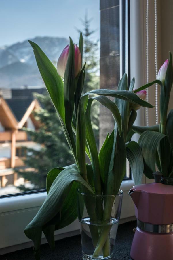 5 Krokow Zakopane Extérieur photo